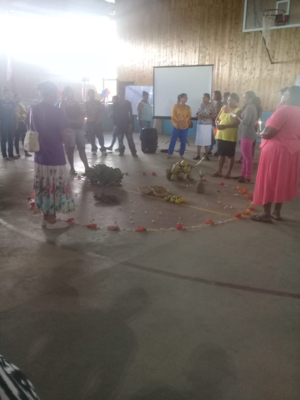 INDIGENA2